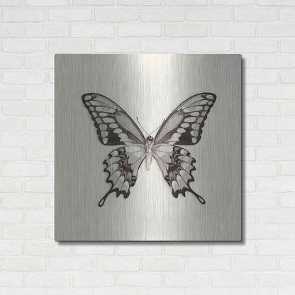 Luxe Metal Art 'Butterfly VI B&W' by Debra Van Swearingen, Metal Wall Art,36x36