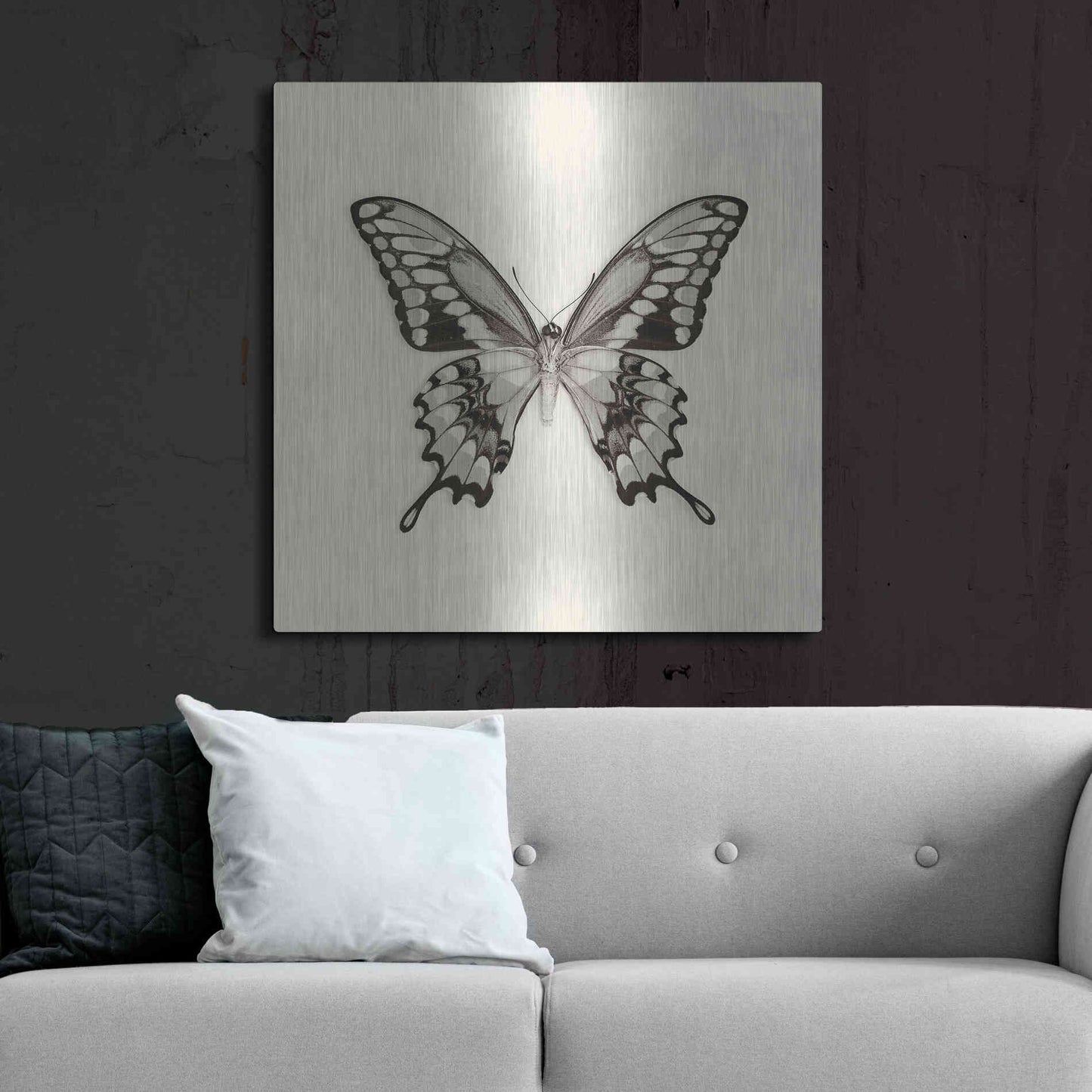 Luxe Metal Art 'Butterfly VI B&W' by Debra Van Swearingen, Metal Wall Art,36x36