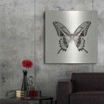 Luxe Metal Art 'Butterfly VI B&W' by Debra Van Swearingen, Metal Wall Art,36x36