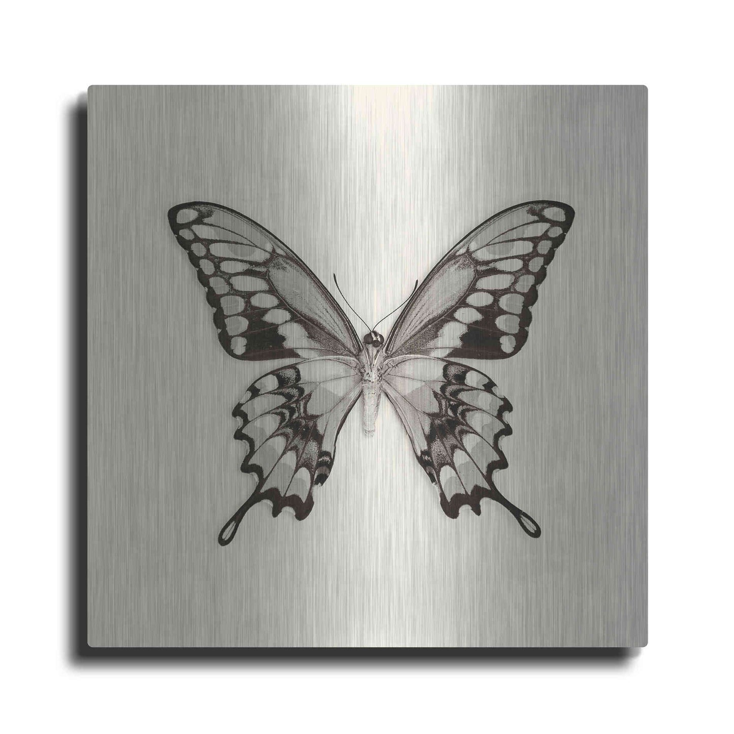 Luxe Metal Art 'Butterfly VI B&W' by Debra Van Swearingen, Metal Wall Art