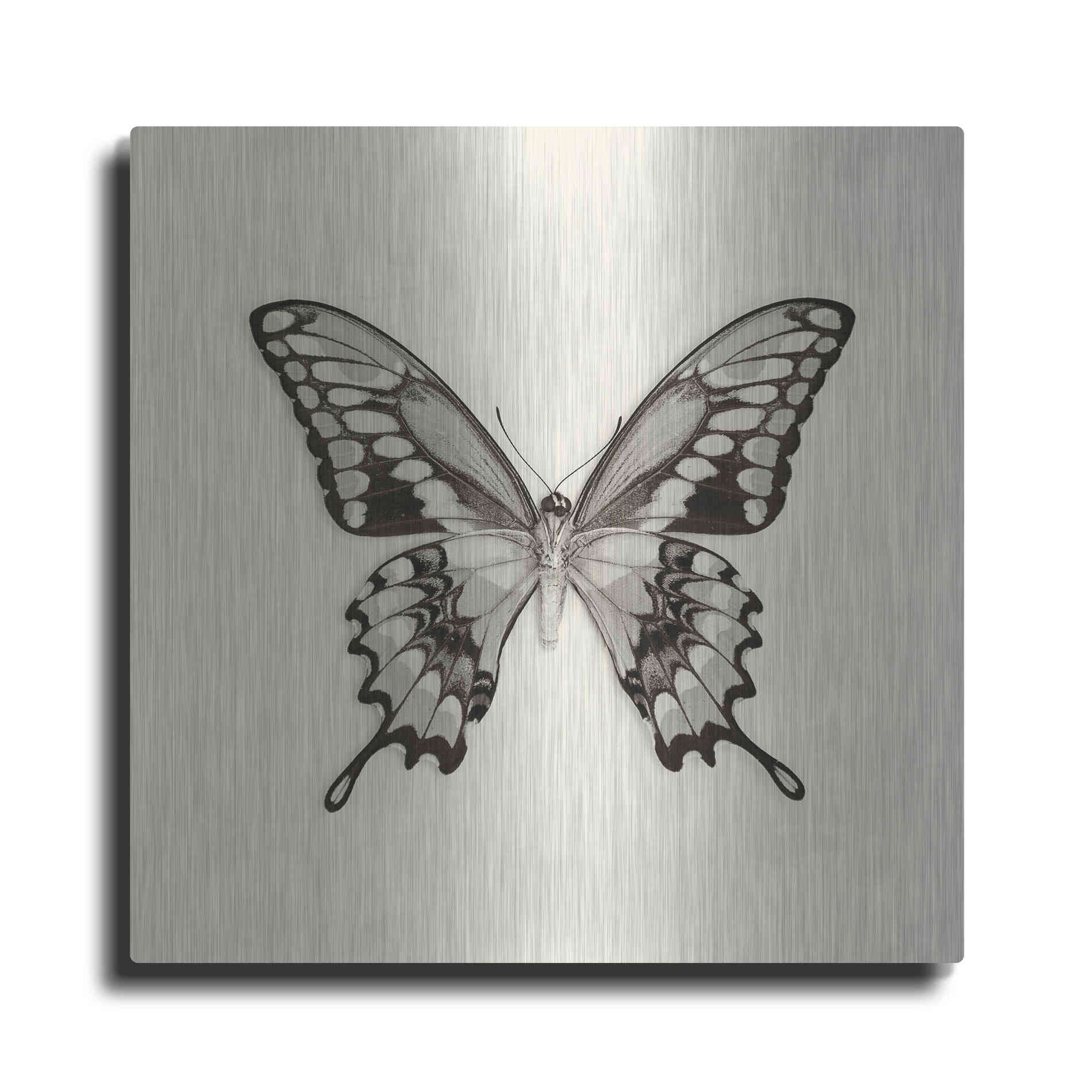 Luxe Metal Art 'Butterfly VI B&W' by Debra Van Swearingen, Metal Wall Art