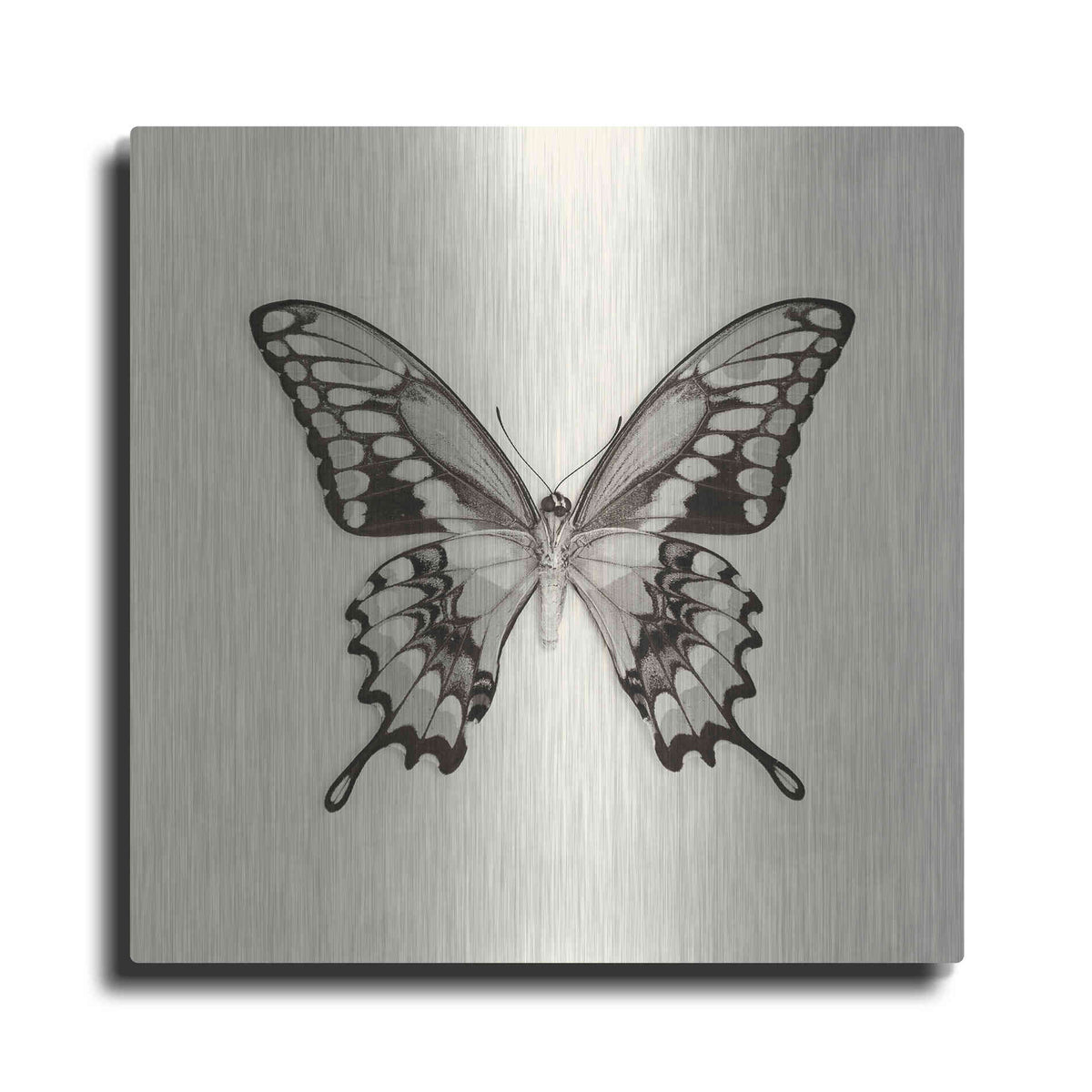 Luxe Metal Art 'Butterfly VI B&W' by Debra Van Swearingen, Metal Wall Art