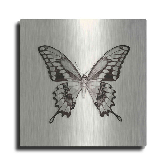 Luxe Metal Art 'Butterfly VI B&W' by Debra Van Swearingen, Metal Wall Art