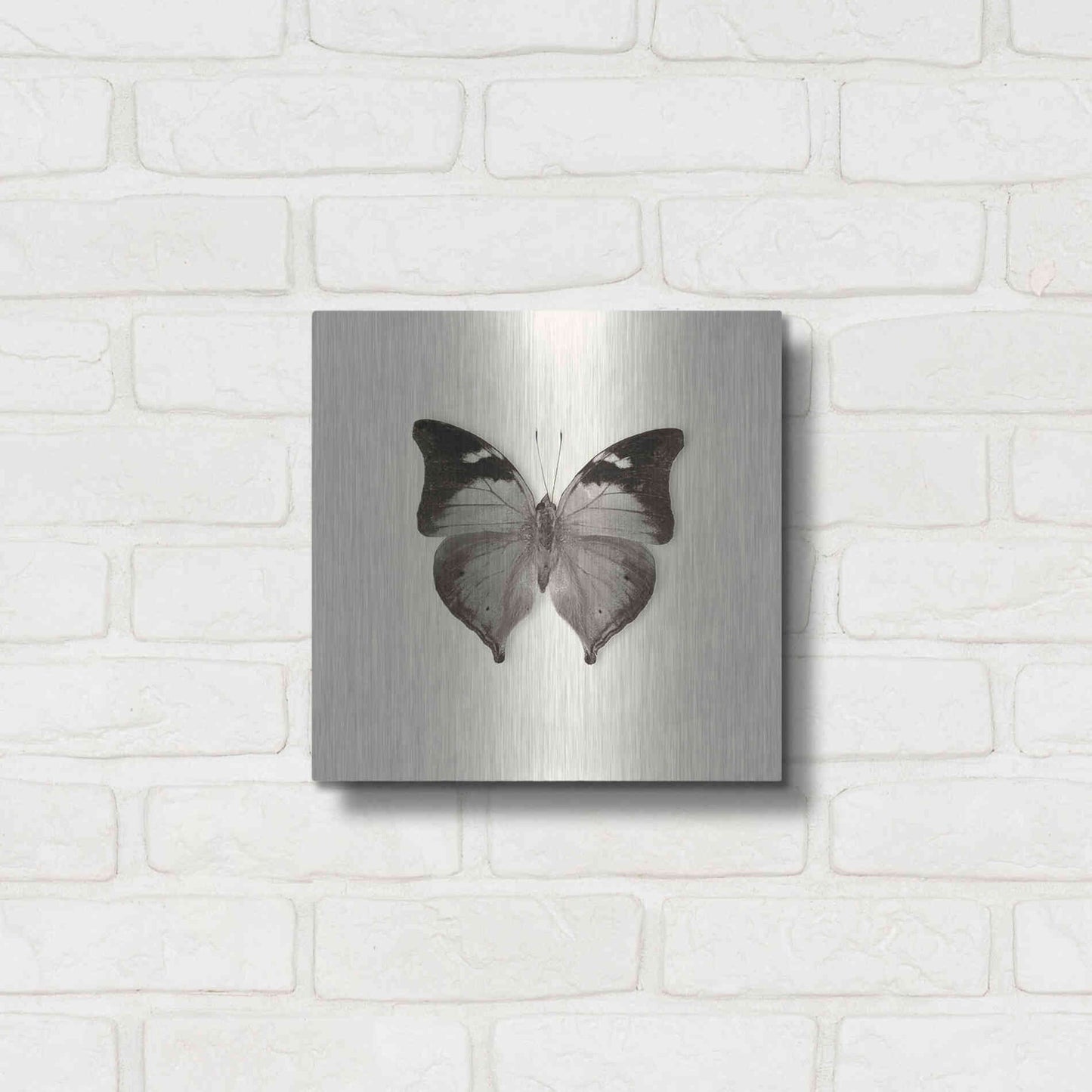 Luxe Metal Art 'Butterfly VII B&W' by Debra Van Swearingen, Metal Wall Art,12x12