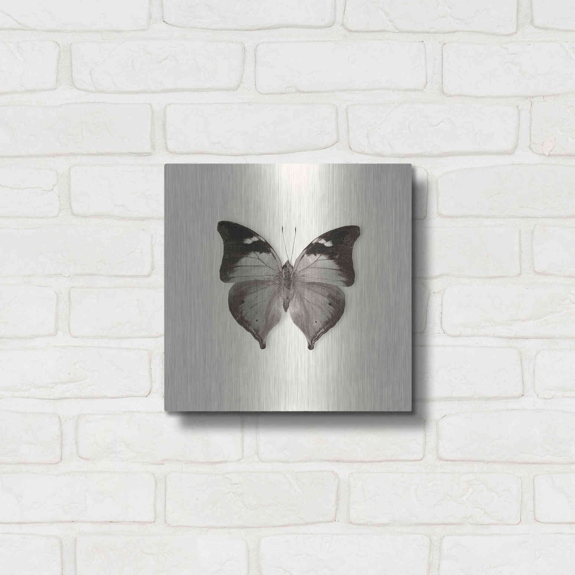 Luxe Metal Art 'Butterfly VII B&W' by Debra Van Swearingen, Metal Wall Art,12x12
