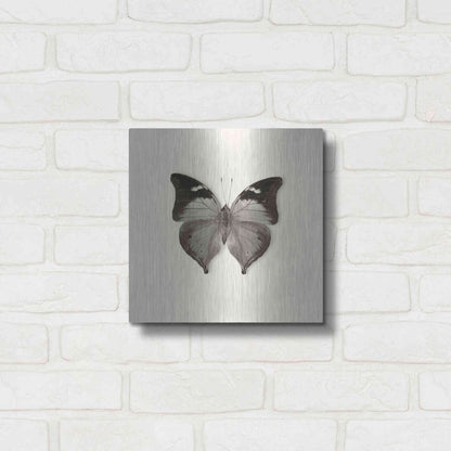 Luxe Metal Art 'Butterfly VII B&W' by Debra Van Swearingen, Metal Wall Art,12x12