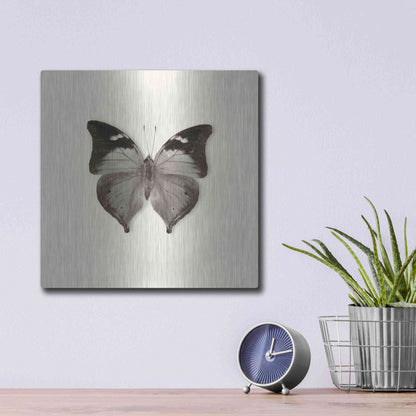 Luxe Metal Art 'Butterfly VII B&W' by Debra Van Swearingen, Metal Wall Art,12x12