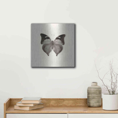 Luxe Metal Art 'Butterfly VII B&W' by Debra Van Swearingen, Metal Wall Art,12x12