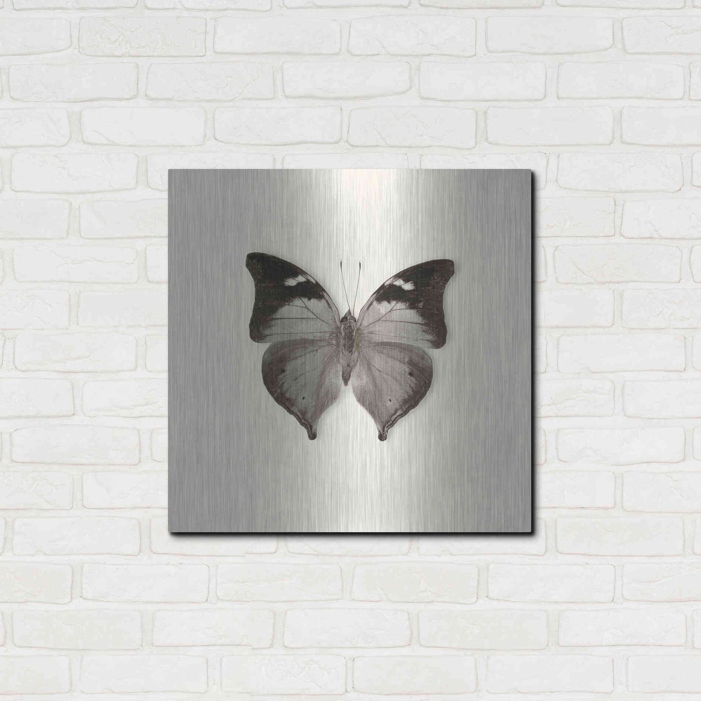 Luxe Metal Art 'Butterfly VII B&W' by Debra Van Swearingen, Metal Wall Art,24x24