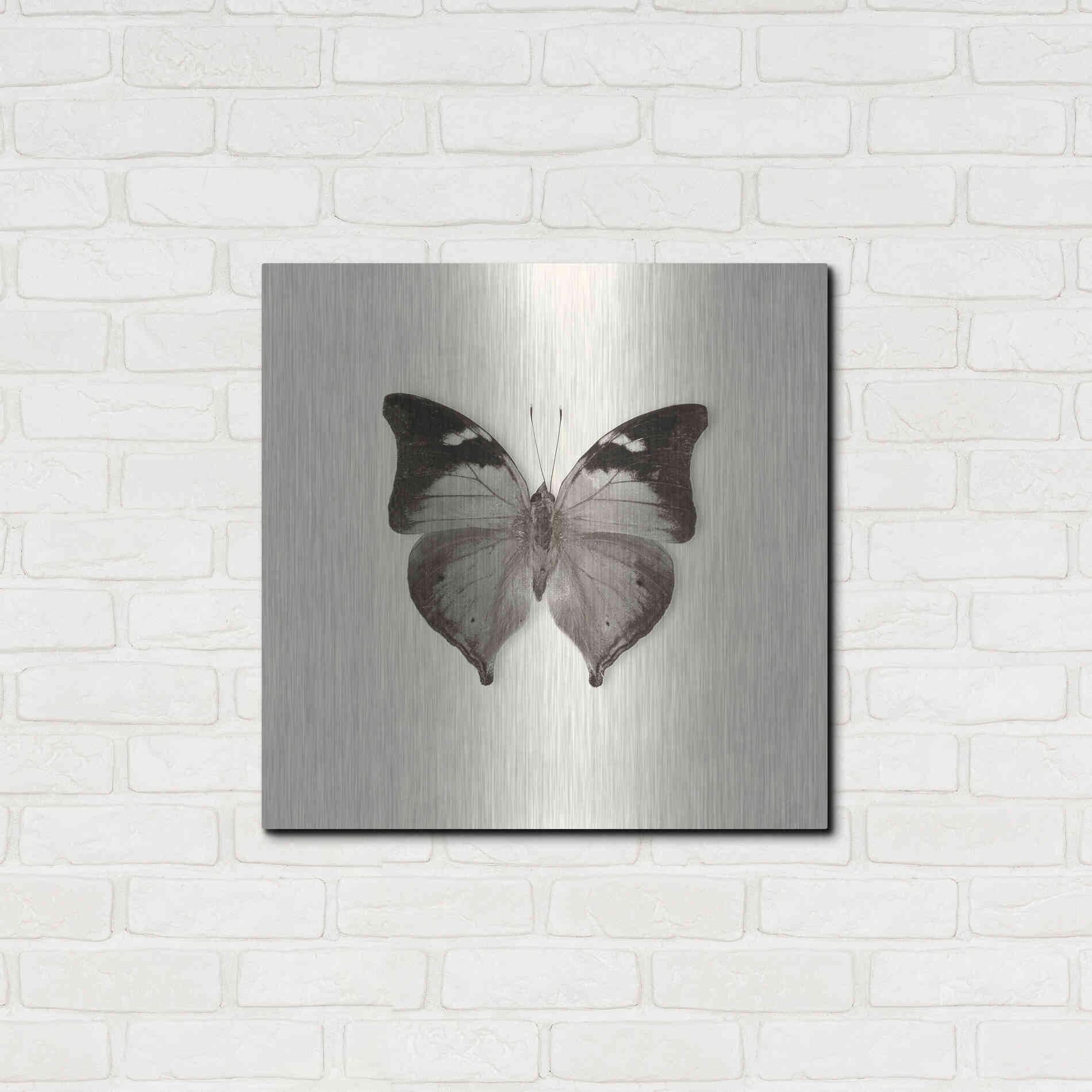 Luxe Metal Art 'Butterfly VII B&W' by Debra Van Swearingen, Metal Wall Art,24x24