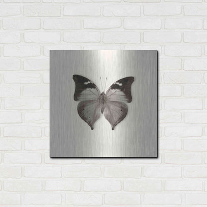 Luxe Metal Art 'Butterfly VII B&W' by Debra Van Swearingen, Metal Wall Art,24x24