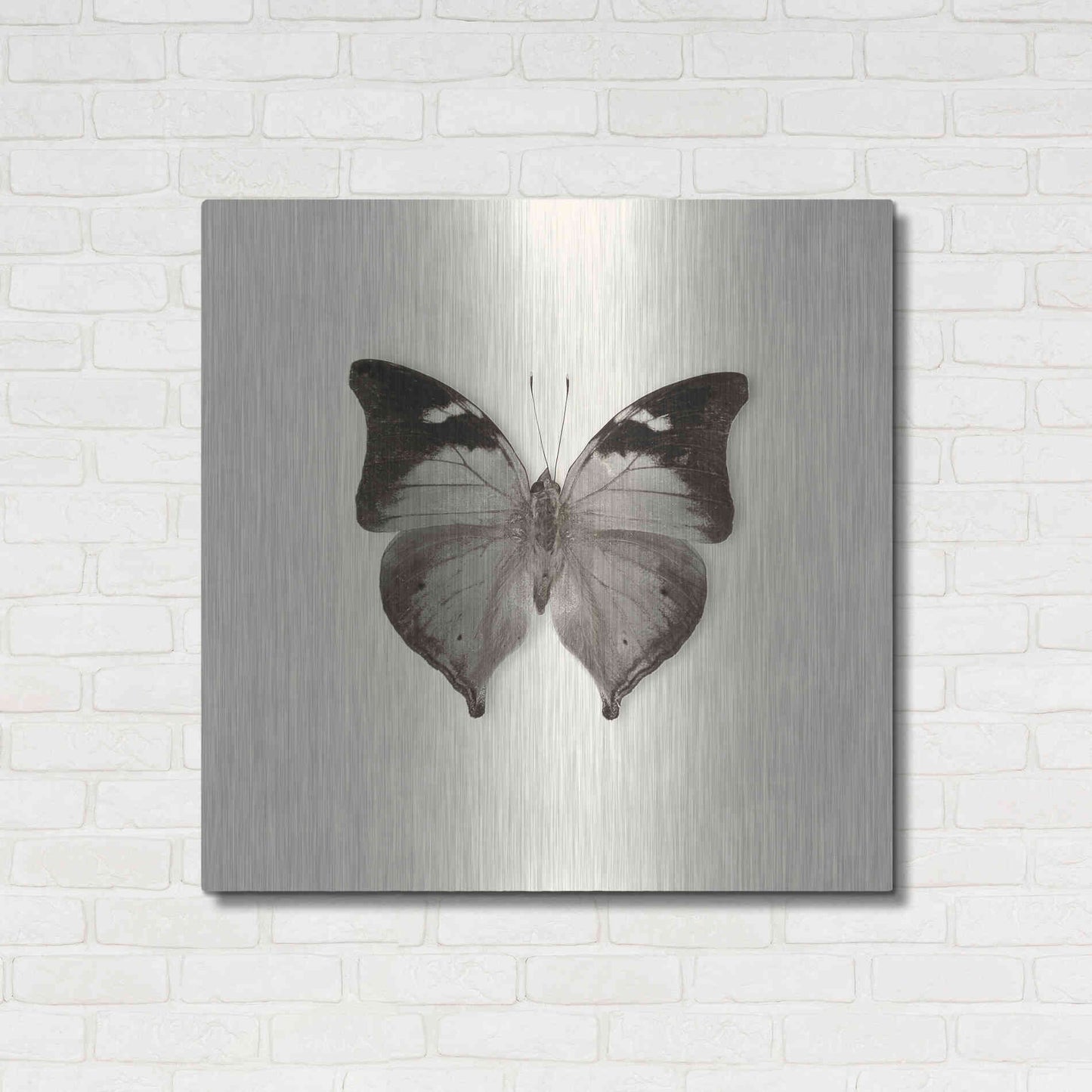 Luxe Metal Art 'Butterfly VII B&W' by Debra Van Swearingen, Metal Wall Art,36x36