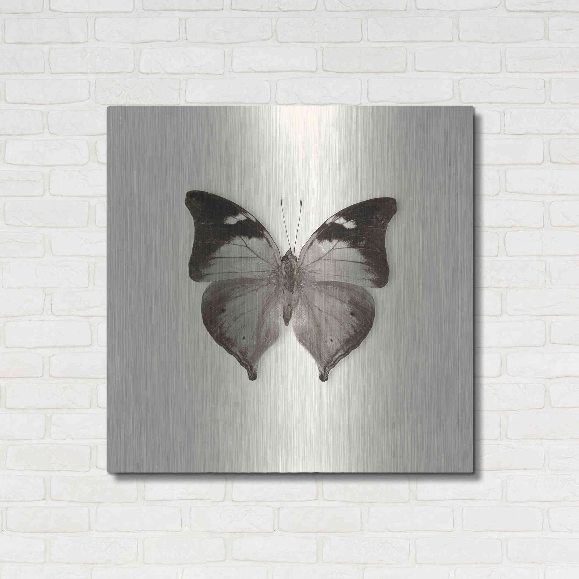 Luxe Metal Art 'Butterfly VII B&W' by Debra Van Swearingen, Metal Wall Art,36x36