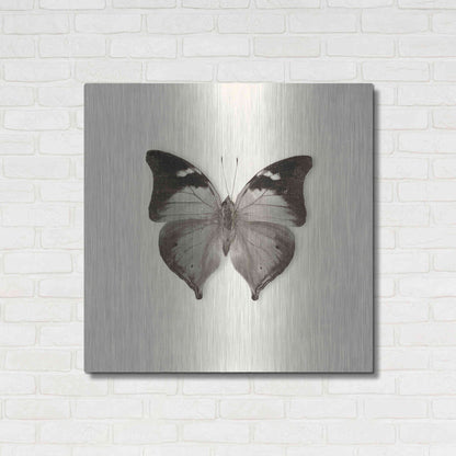 Luxe Metal Art 'Butterfly VII B&W' by Debra Van Swearingen, Metal Wall Art,36x36