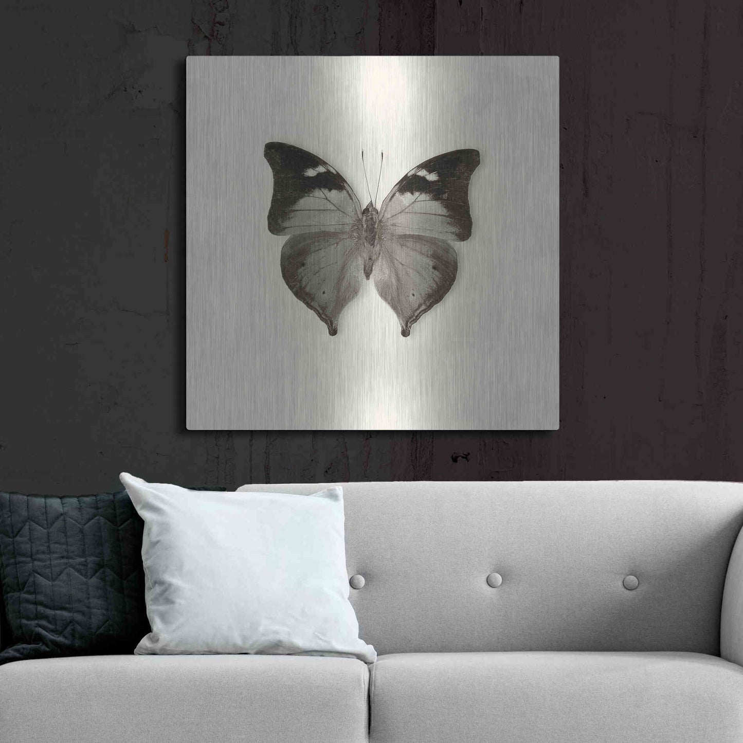 Luxe Metal Art 'Butterfly VII B&W' by Debra Van Swearingen, Metal Wall Art,36x36