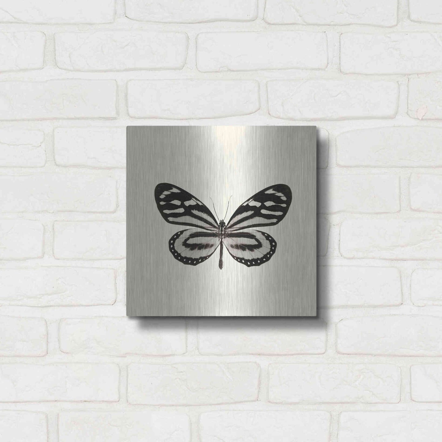 Luxe Metal Art 'Butterfly VIII B&W' by Debra Van Swearingen, Metal Wall Art,12x12