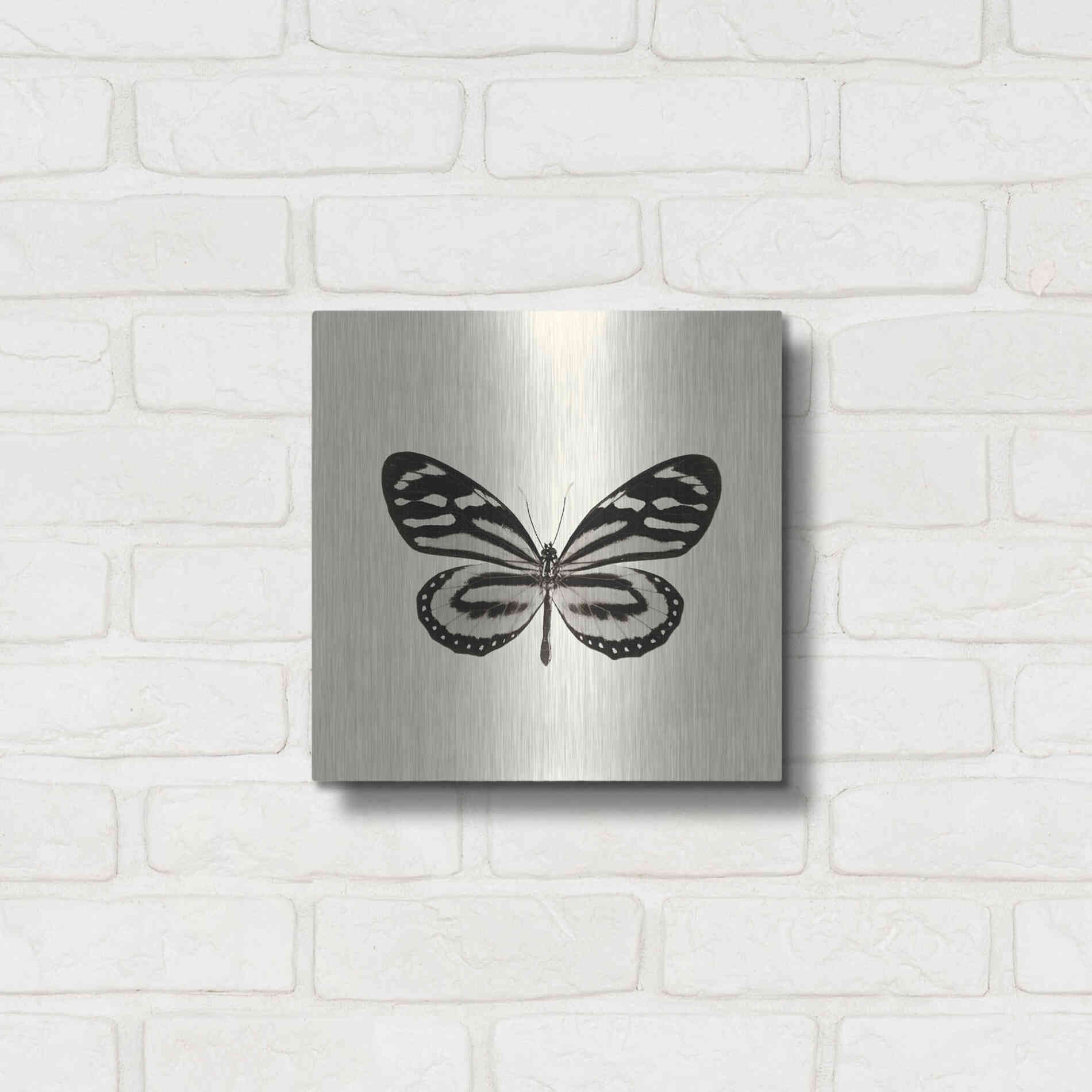 Luxe Metal Art 'Butterfly VIII B&W' by Debra Van Swearingen, Metal Wall Art,12x12
