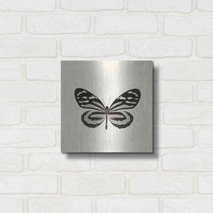 Luxe Metal Art 'Butterfly VIII B&W' by Debra Van Swearingen, Metal Wall Art,12x12