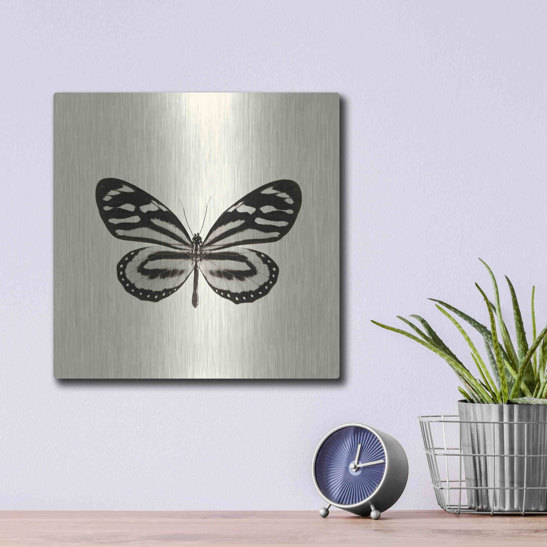 Luxe Metal Art 'Butterfly VIII B&W' by Debra Van Swearingen, Metal Wall Art,12x12