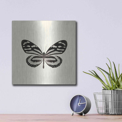 Luxe Metal Art 'Butterfly VIII B&W' by Debra Van Swearingen, Metal Wall Art,12x12