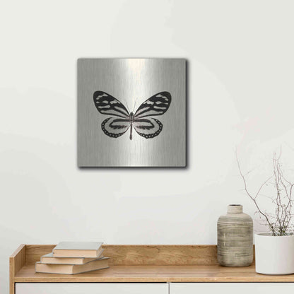 Luxe Metal Art 'Butterfly VIII B&W' by Debra Van Swearingen, Metal Wall Art,12x12