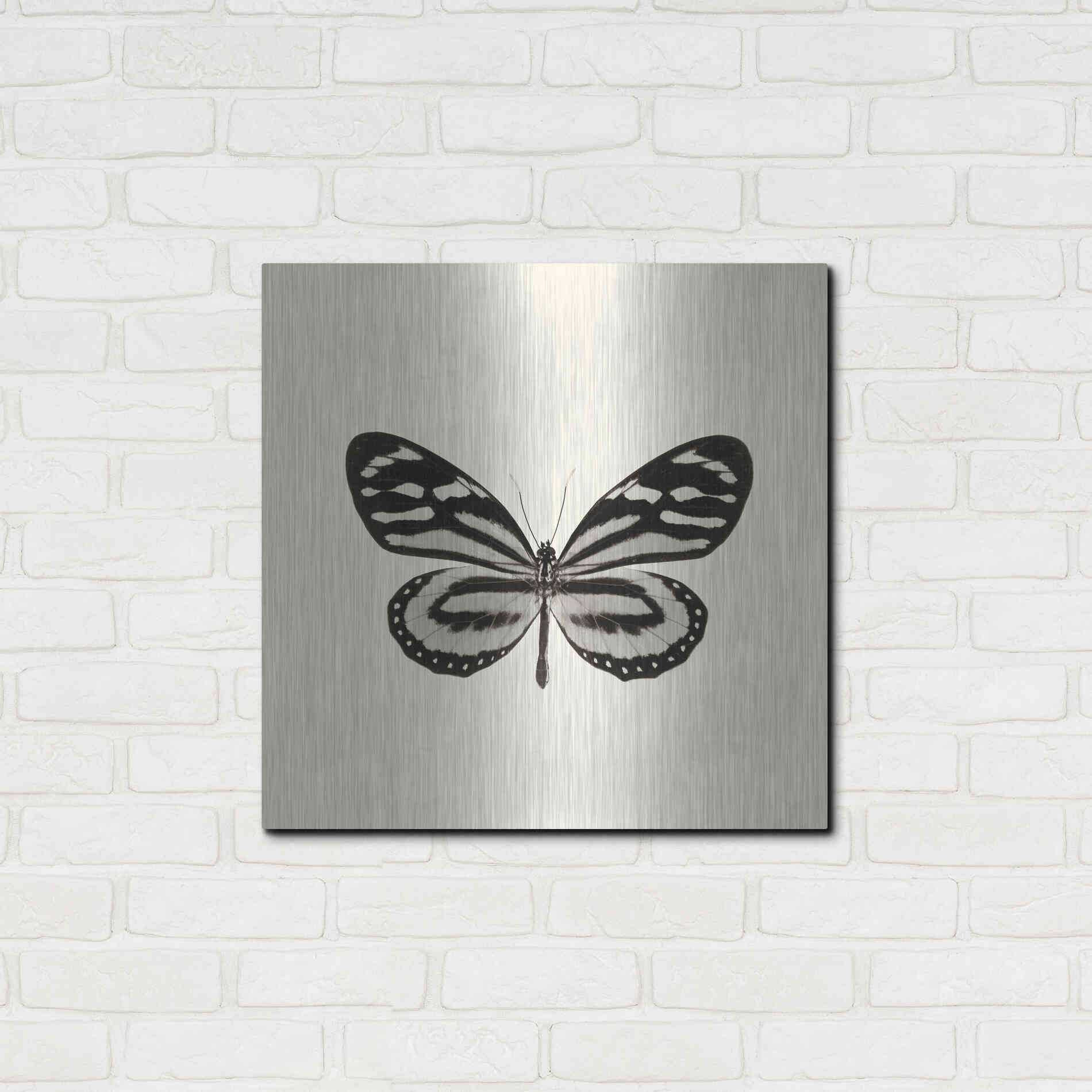Luxe Metal Art 'Butterfly VIII B&W' by Debra Van Swearingen, Metal Wall Art,24x24