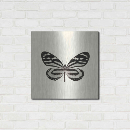 Luxe Metal Art 'Butterfly VIII B&W' by Debra Van Swearingen, Metal Wall Art,24x24
