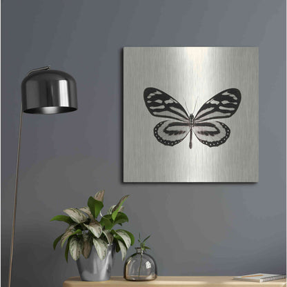 Luxe Metal Art 'Butterfly VIII B&W' by Debra Van Swearingen, Metal Wall Art,24x24