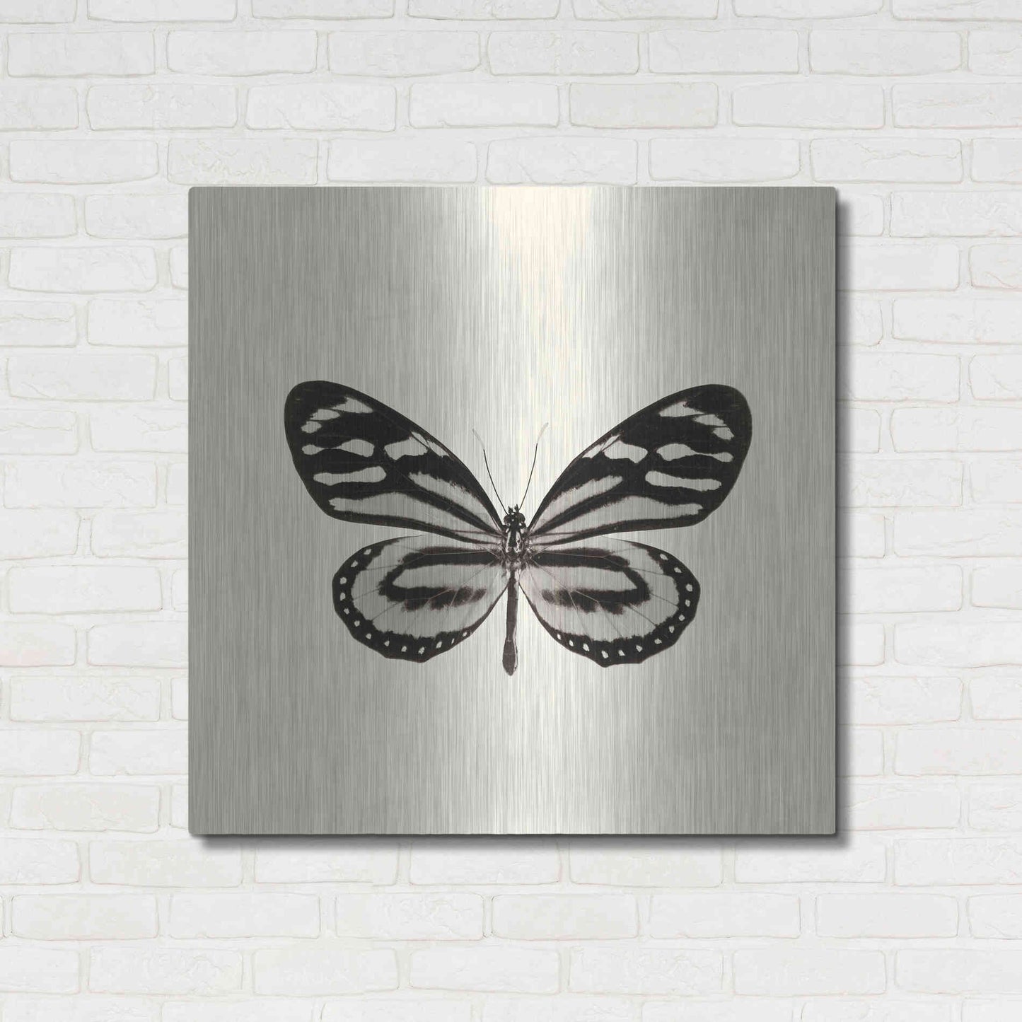 Luxe Metal Art 'Butterfly VIII B&W' by Debra Van Swearingen, Metal Wall Art,36x36