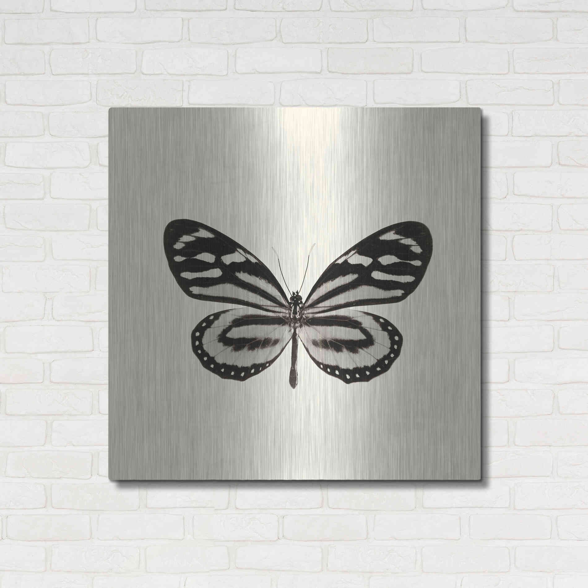 Luxe Metal Art 'Butterfly VIII B&W' by Debra Van Swearingen, Metal Wall Art,36x36