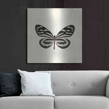 Luxe Metal Art 'Butterfly VIII B&W' by Debra Van Swearingen, Metal Wall Art,36x36