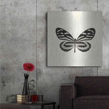 Luxe Metal Art 'Butterfly VIII B&W' by Debra Van Swearingen, Metal Wall Art,36x36