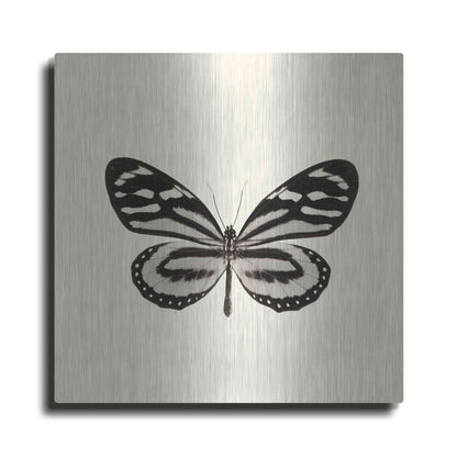 Luxe Metal Art 'Butterfly VIII B&W' by Debra Van Swearingen, Metal Wall Art