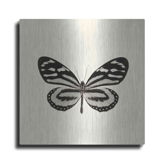 Luxe Metal Art 'Butterfly VIII B&W' by Debra Van Swearingen, Metal Wall Art