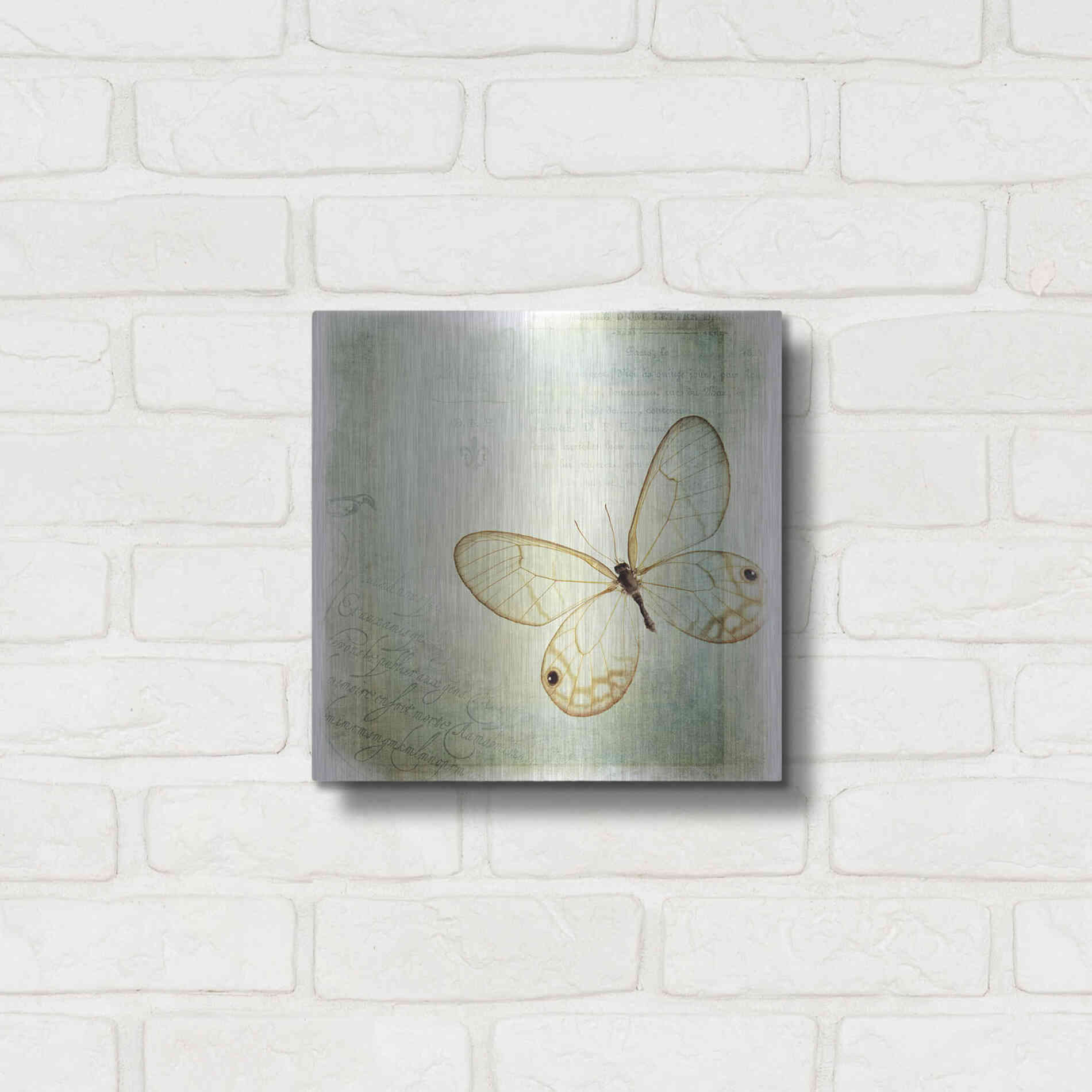 Luxe Metal Art 'Floating Butterfly I' by Debra Van Swearingen, Metal Wall Art,12x12