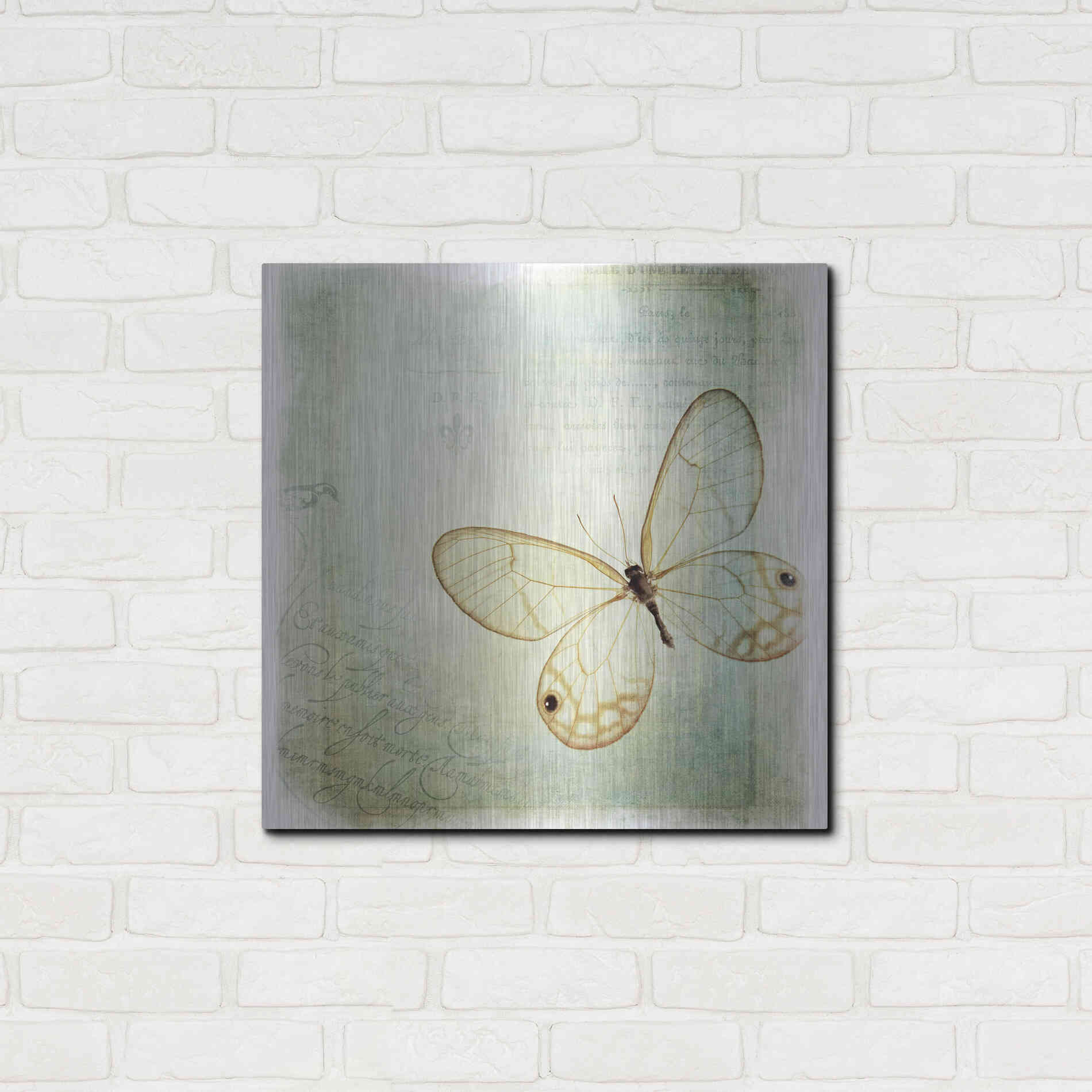 Luxe Metal Art 'Floating Butterfly I' by Debra Van Swearingen, Metal Wall Art,24x24