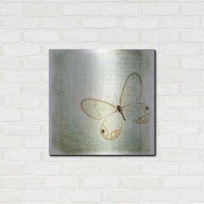 Luxe Metal Art 'Floating Butterfly I' by Debra Van Swearingen, Metal Wall Art,24x24