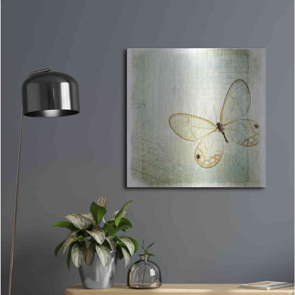 Luxe Metal Art 'Floating Butterfly I' by Debra Van Swearingen, Metal Wall Art,24x24