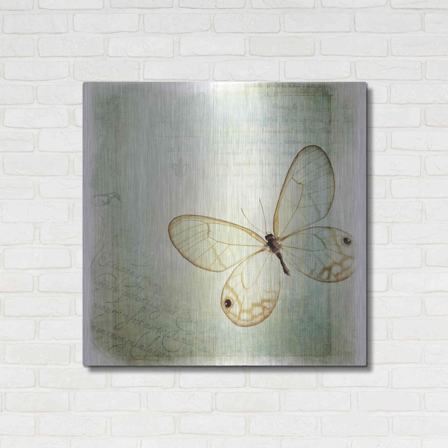 Luxe Metal Art 'Floating Butterfly I' by Debra Van Swearingen, Metal Wall Art,36x36