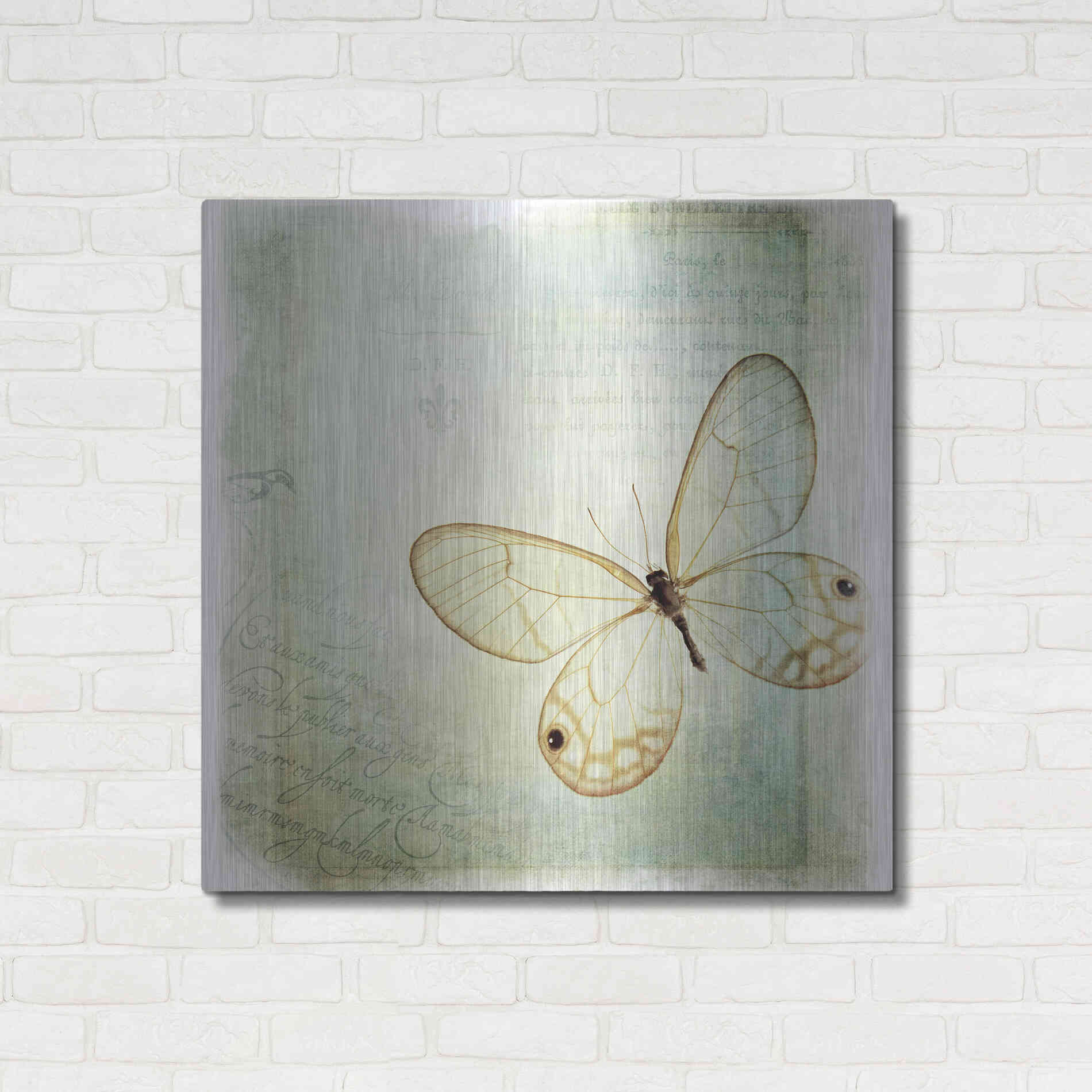 Luxe Metal Art 'Floating Butterfly I' by Debra Van Swearingen, Metal Wall Art,36x36