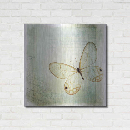 Luxe Metal Art 'Floating Butterfly I' by Debra Van Swearingen, Metal Wall Art,36x36