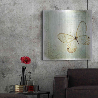 Luxe Metal Art 'Floating Butterfly I' by Debra Van Swearingen, Metal Wall Art,36x36