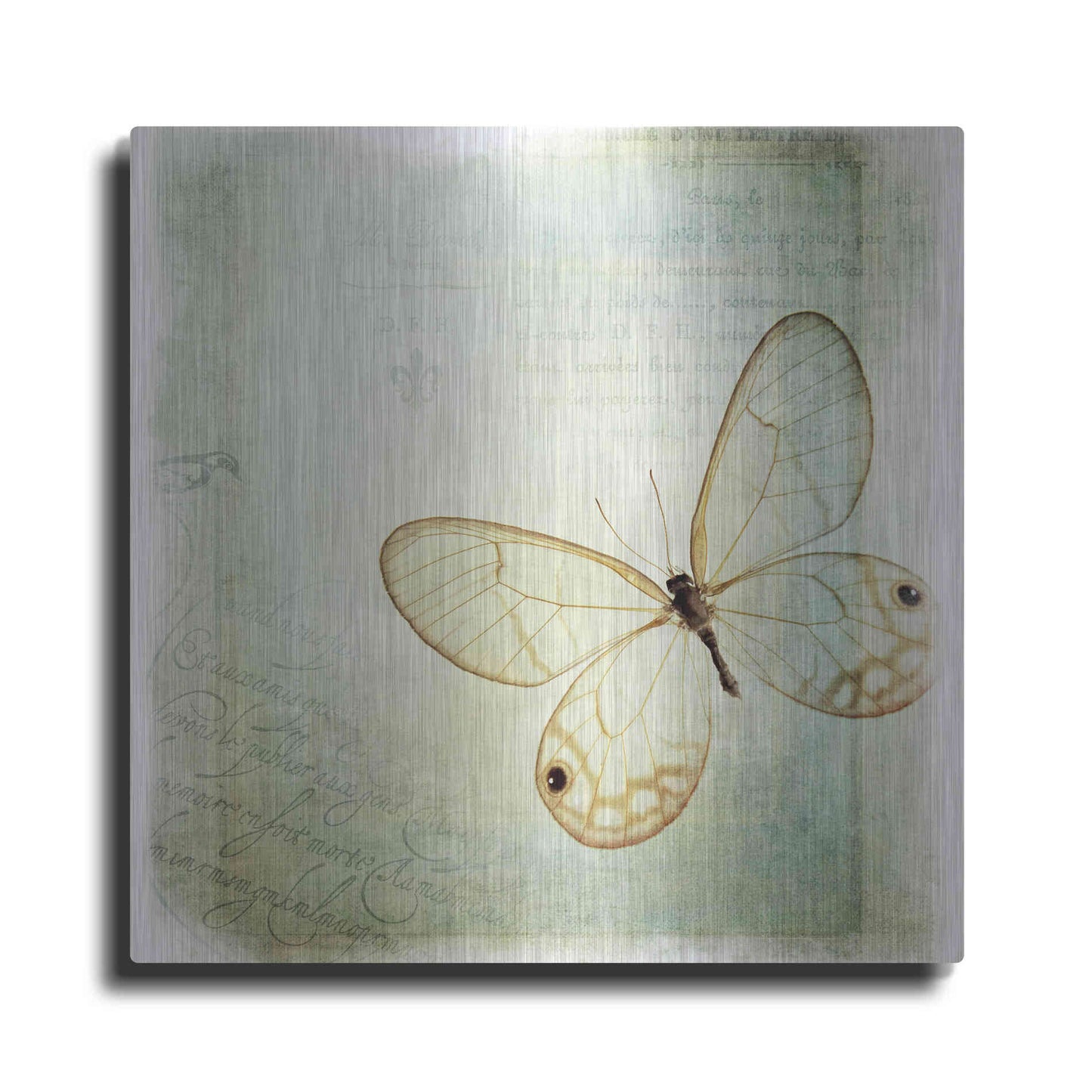 Luxe Metal Art 'Floating Butterfly I' by Debra Van Swearingen, Metal Wall Art