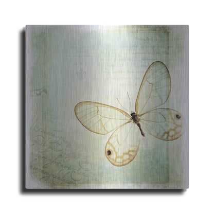 Luxe Metal Art 'Floating Butterfly I' by Debra Van Swearingen, Metal Wall Art