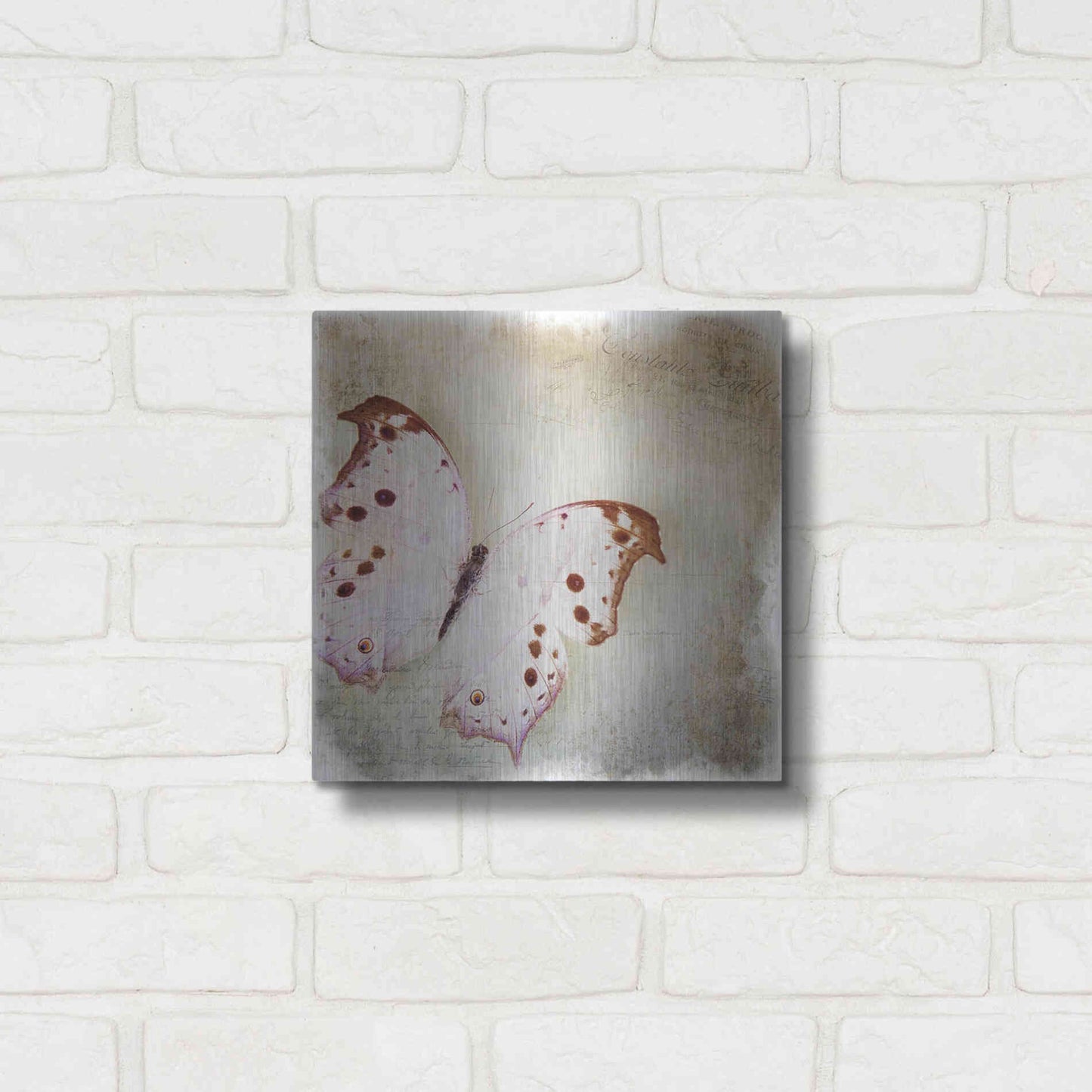 Luxe Metal Art 'Floating Butterfly II' by Debra Van Swearingen, Metal Wall Art,12x12