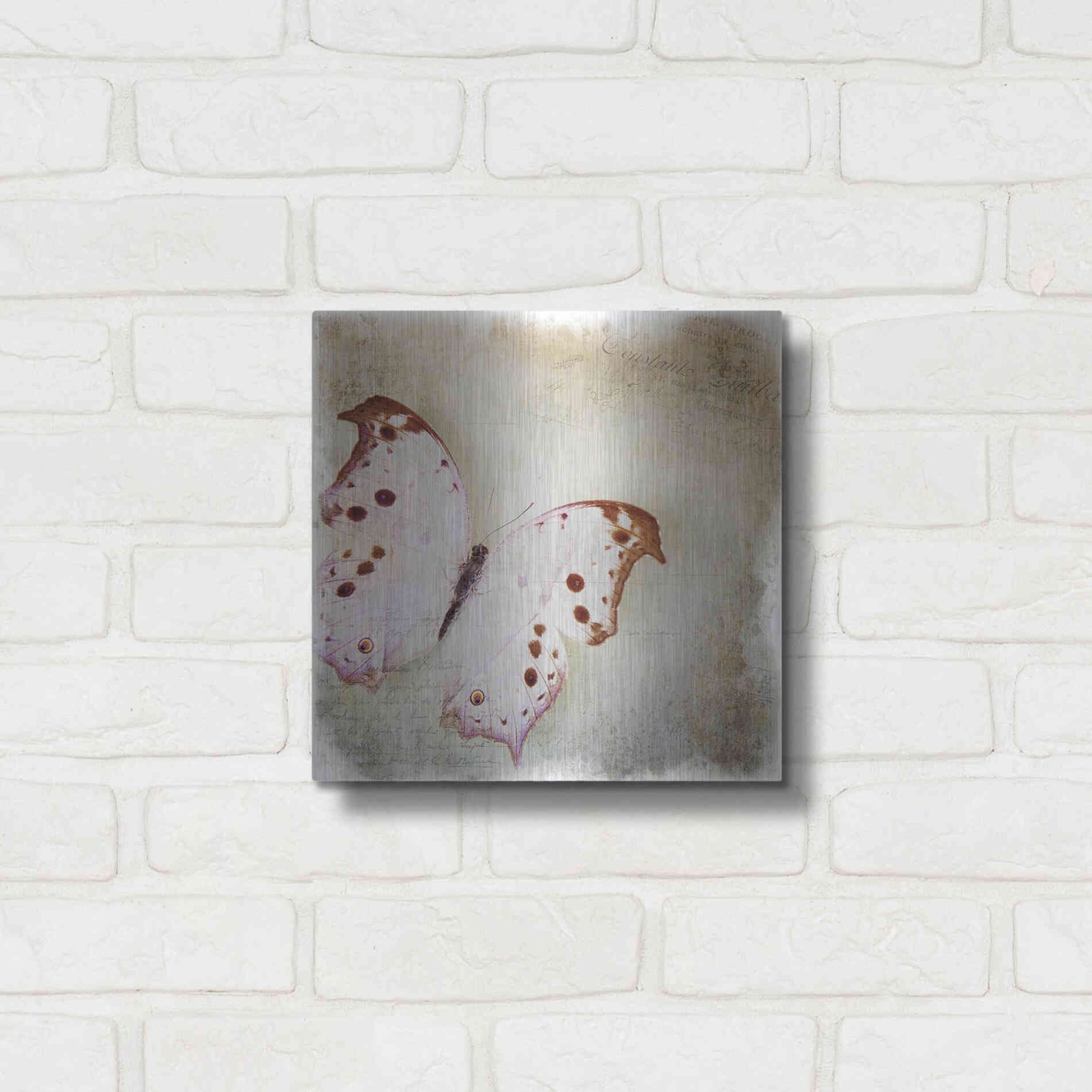 Luxe Metal Art 'Floating Butterfly II' by Debra Van Swearingen, Metal Wall Art,12x12