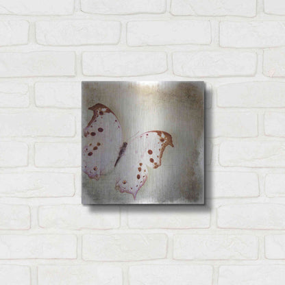 Luxe Metal Art 'Floating Butterfly II' by Debra Van Swearingen, Metal Wall Art,12x12