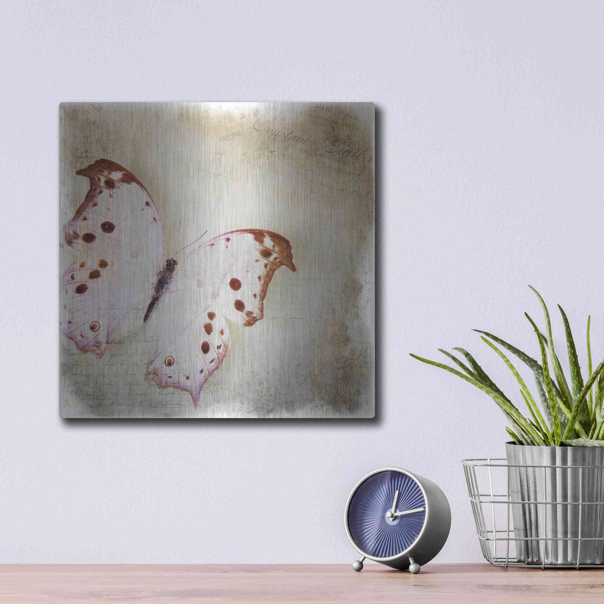 Luxe Metal Art 'Floating Butterfly II' by Debra Van Swearingen, Metal Wall Art,12x12