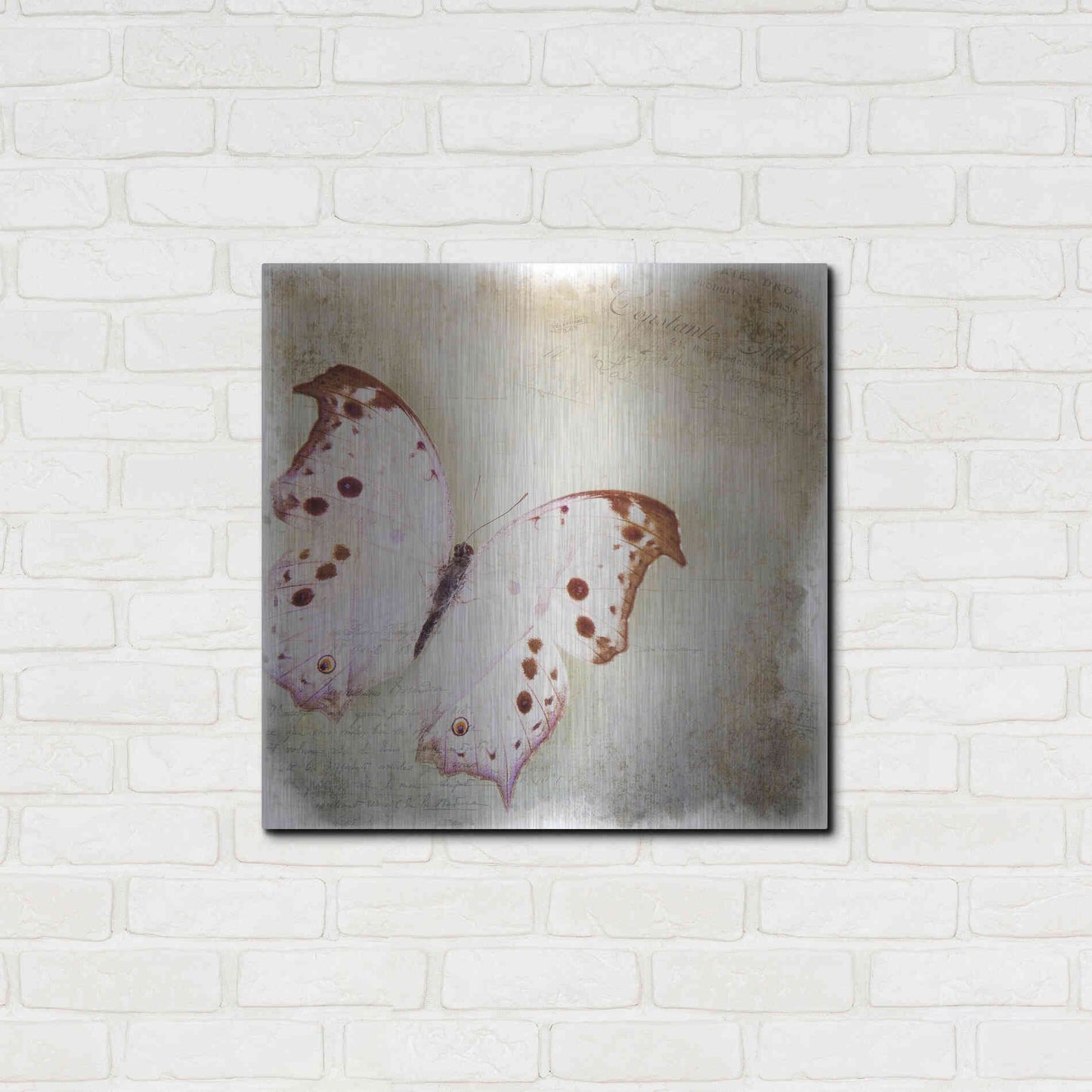 Luxe Metal Art 'Floating Butterfly II' by Debra Van Swearingen, Metal Wall Art,24x24