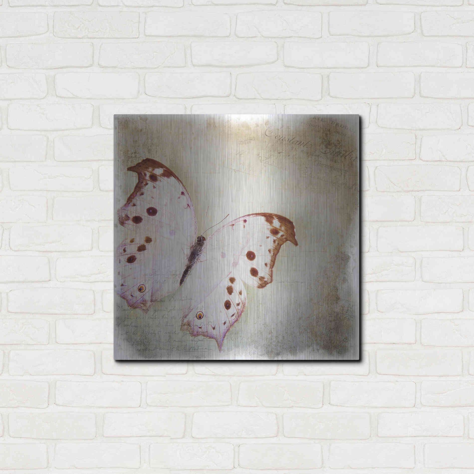 Luxe Metal Art 'Floating Butterfly II' by Debra Van Swearingen, Metal Wall Art,24x24